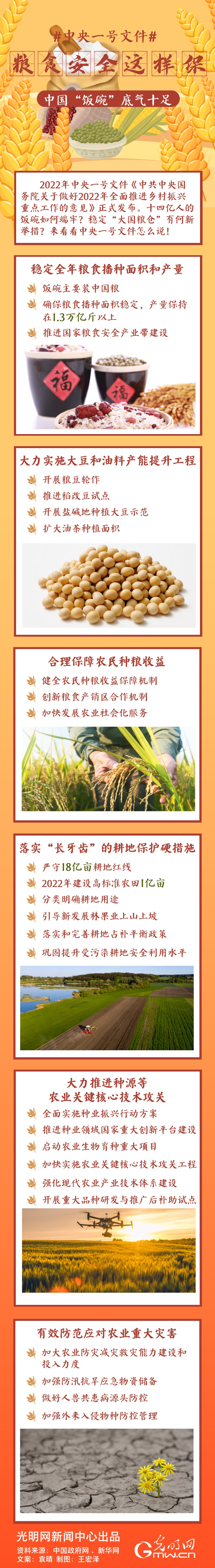 中央一號文件｜糧食安全這樣保，中國“飯碗”底氣十足