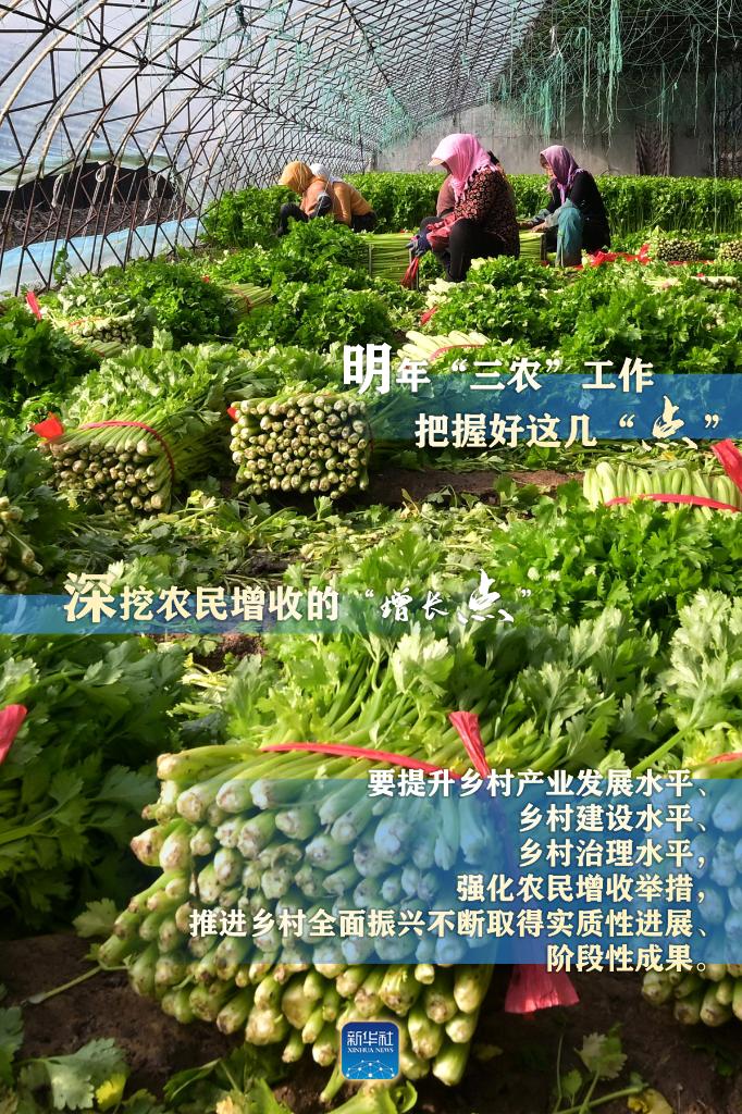 明年“三農(nóng)”工作，這幾個(gè)“點(diǎn)”要把握好