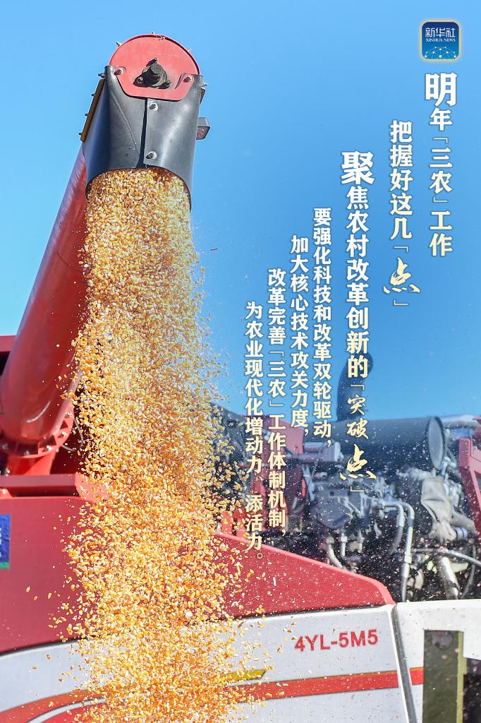 明年“三農(nóng)”工作，這幾個(gè)“點(diǎn)”要把握好