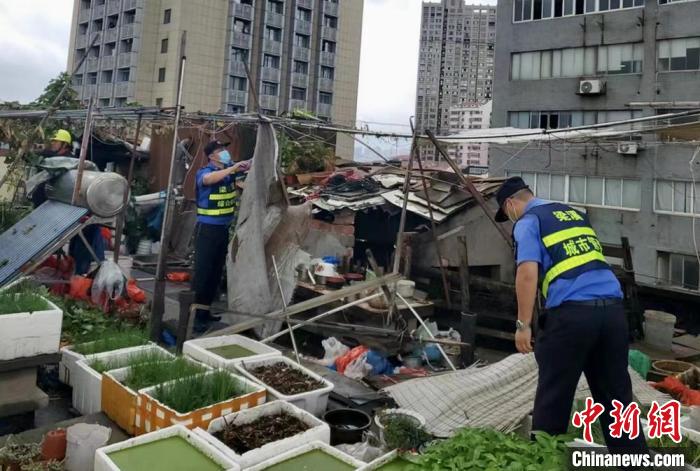 在一處居民樓屋頂，城管隊(duì)員拆除“空中菜園”?！〗疖?攝