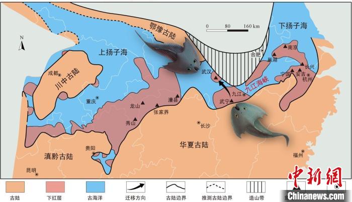 華南地區(qū)志留紀(jì)早期古地理圖和盔甲魚類化石產(chǎn)地(山顯任改自陳旭、戎嘉余，1996；戎嘉余等，2012) 中科院古脊椎所 供圖