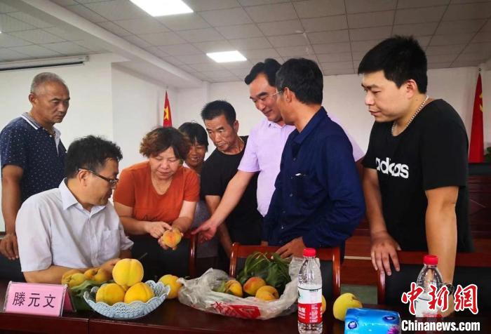 民進(jìn)浙江省委會(huì)為三里橋黃桃種植戶送技術(shù)、送指導(dǎo)。　嘉善統(tǒng)戰(zhàn) 供圖
