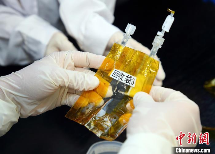 隨神舟十五號(hào)返回地面的空間科學(xué)實(shí)驗(yàn)樣品?！≈锌圃嚎臻g應(yīng)用中心 供圖