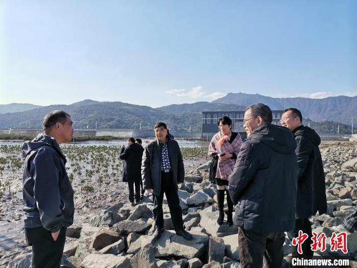 浙江海洋生態(tài)觀察：智慧大腦如何解鎖藍色發(fā)展密碼？