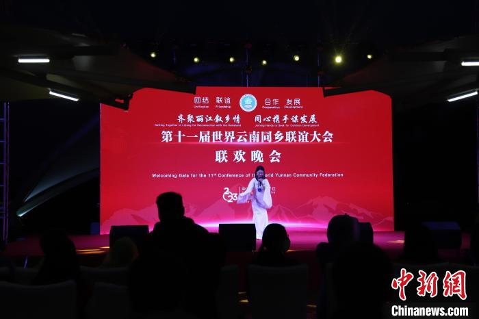 圖為第十一屆世界云南同鄉(xiāng)聯(lián)誼大會舉辦聯(lián)歡晚會?！〈抻澜?攝