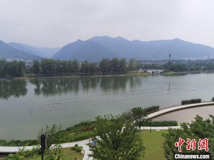 兩岸媒體共探杭州亞運會“綠”在何處？