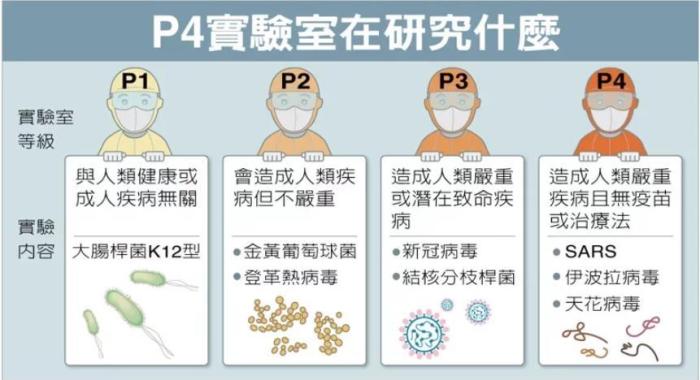P4實(shí)驗(yàn)室在研究什么。臺(tái)灣聯(lián)合新聞網(wǎng)資料圖