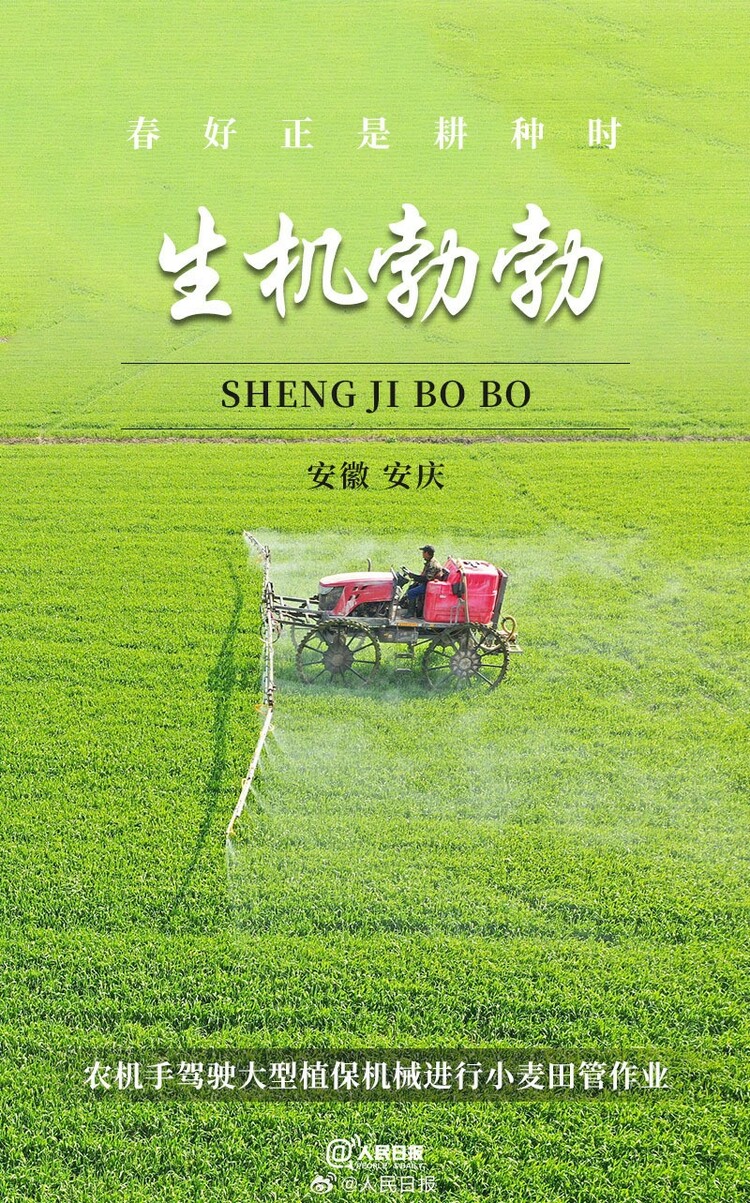 生機(jī)盎然！用課本封面打開(kāi)春耕畫(huà)卷