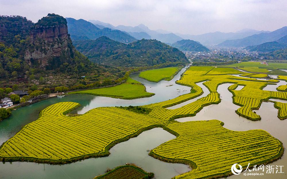 3月28日，航拍浙江省臨海市桃渚鎮(zhèn)桃江十三渚盛開的油菜花景色。人民網(wǎng) 章勇濤攝