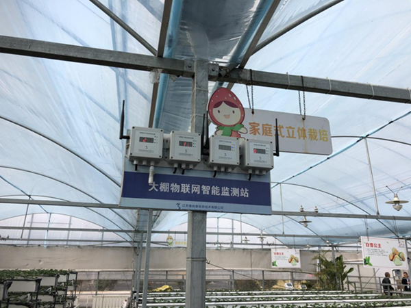 都市四季果園內(nèi)的物聯(lián)網(wǎng)智能監(jiān)測(cè)站系統(tǒng)。東?？h委宣傳部供圖