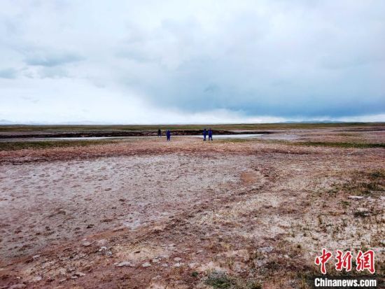 圖為救援力量在青海省西部搜救失聯(lián)的江蘇南京某大學(xué)女生黃某某。海西州藍(lán)天應(yīng)急救援中心 供圖
