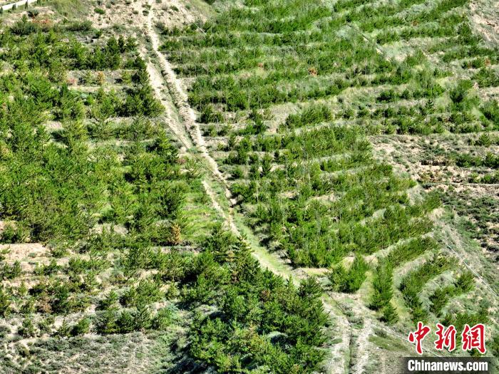 航拍建行青海省分行綠化區(qū)?！∑钤鲚?攝