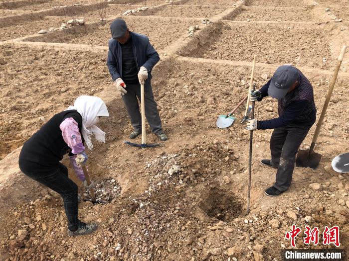 資料圖為建行青海省分行綠化區(qū)施工隊(duì)隊(duì)員處理亂石?！〗ㄐ星嗪Ｊ》中泄﹫D