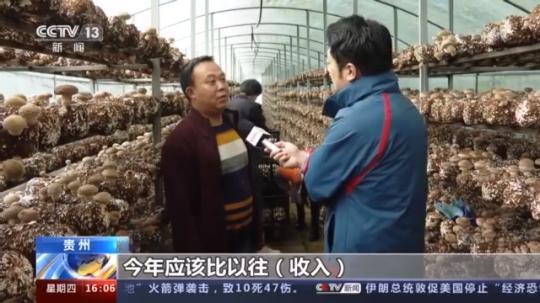 種蘑菇、養(yǎng)駱駝...。。特色產業(yè)助力鄉(xiāng)村振興走新路