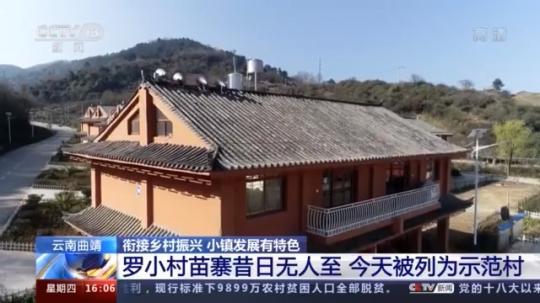 種蘑菇、養(yǎng)駱駝...。。特色產業(yè)助力鄉(xiāng)村振興走新路