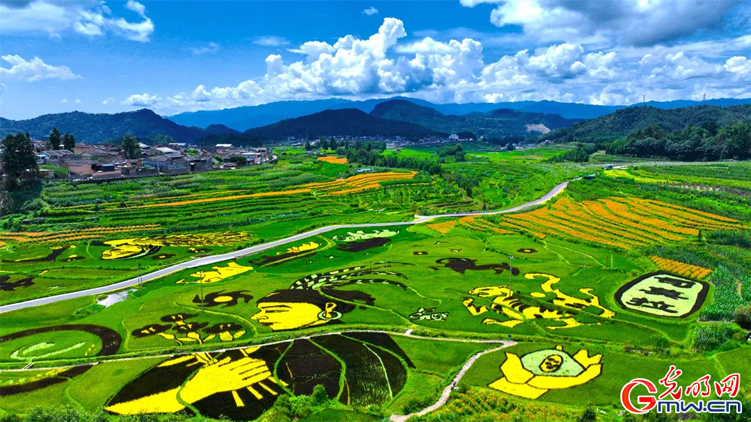 云南清水：延伸公共法律服務(wù)觸角，讓普法與民族團結(jié)進步互促共融