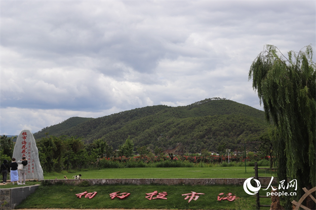 麗江市拉市海景區(qū)。 人民網(wǎng)記者 程浩攝