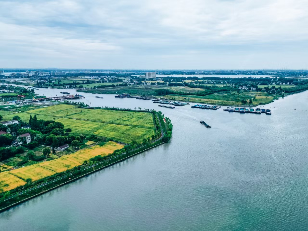 太浦河沿岸好風光。吳橫軒攝