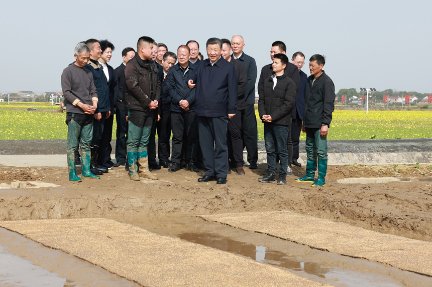 2024年3月18日至21日，中共中央總書記、國家主席、中央軍委主席習(xí)近平在湖南考察。這是19日下午，習(xí)近平在常德市鼎城區(qū)謝家鋪鎮(zhèn)港中坪村走進(jìn)田間，察看秧苗培育和春耕備耕進(jìn)展。新華社記者 王曄 攝