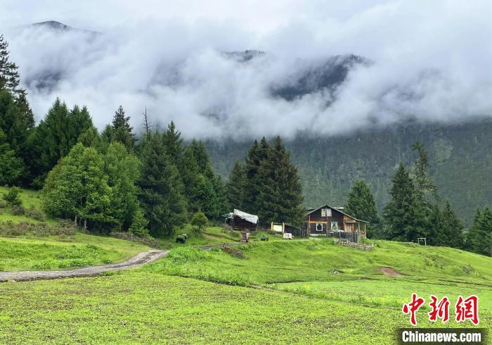 6月10日，魯朗小鎮(zhèn)高山牧場景區(qū)風光?！∪轿木?攝
