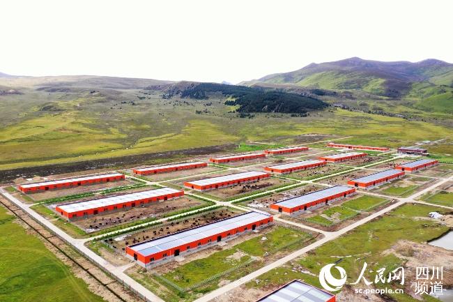 建設(shè)中的理塘縣牦牛產(chǎn)業(yè)園。葉強(qiáng)平攝