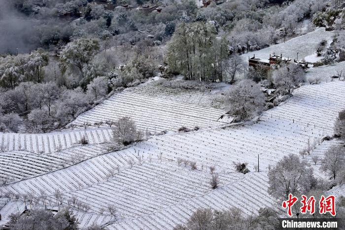 雪后的高山田間如畫?！±钣腊?攝