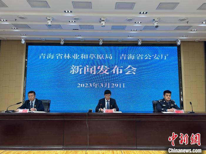 青海去年占用林地、草地準(zhǔn)予許可件同比實現(xiàn)“雙減”
