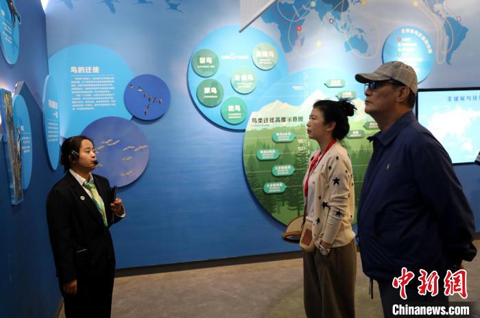 圖為臺商在祁連山國家公園生態(tài)科普館內(nèi)聆聽講解?！⊙Φ?攝