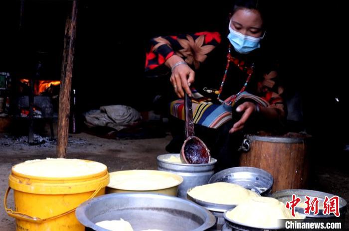圖為牧民正在制作酥油?！∪湛t文聯(lián)供圖
