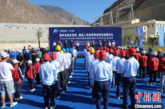 圖為蘇洼龍水電站魚類放流現(xiàn)場?！√K洼龍水電站供圖