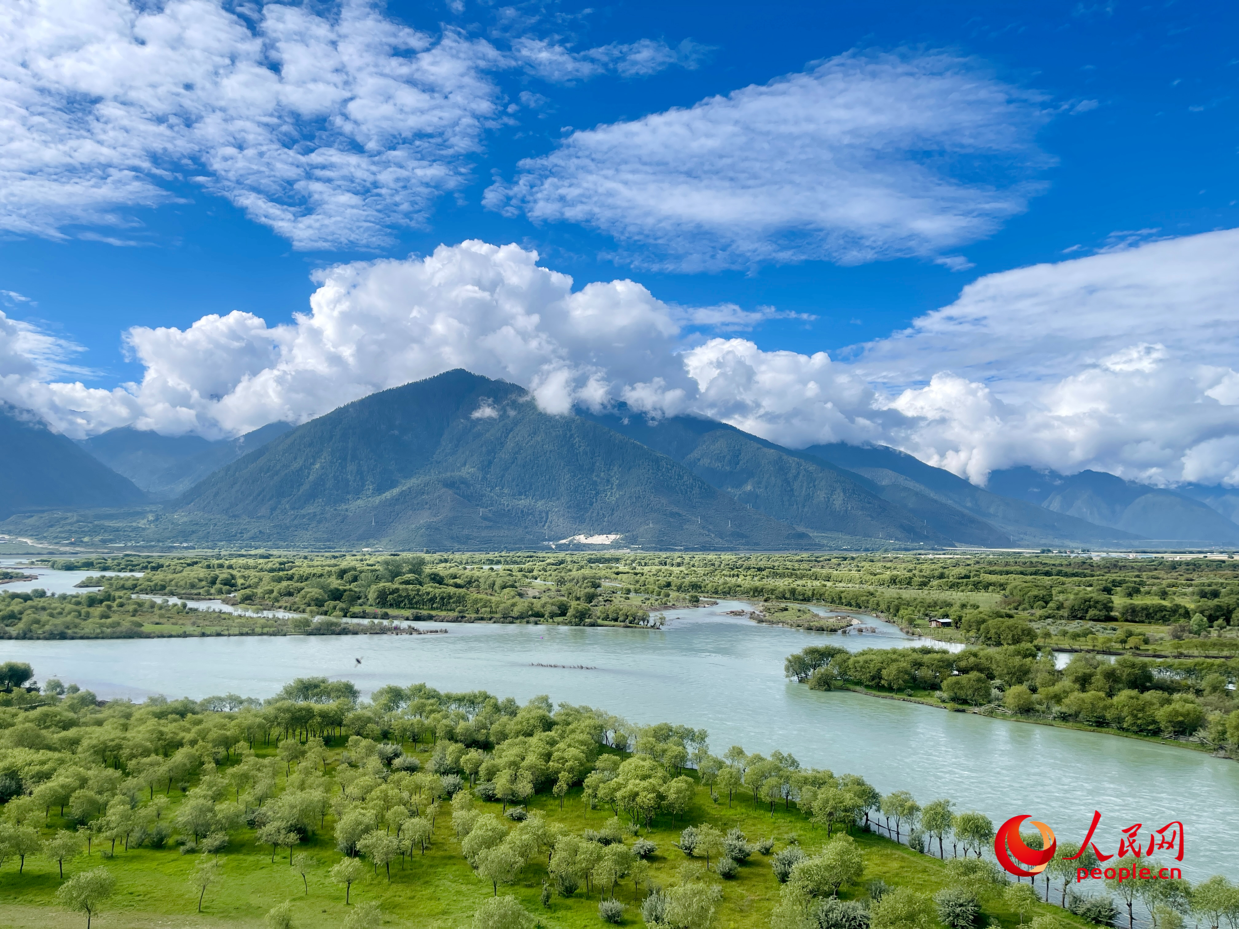 夏日的雅尼國家濕地公園生機(jī)盎然，如詩如畫。人民網(wǎng) 周靜圓攝