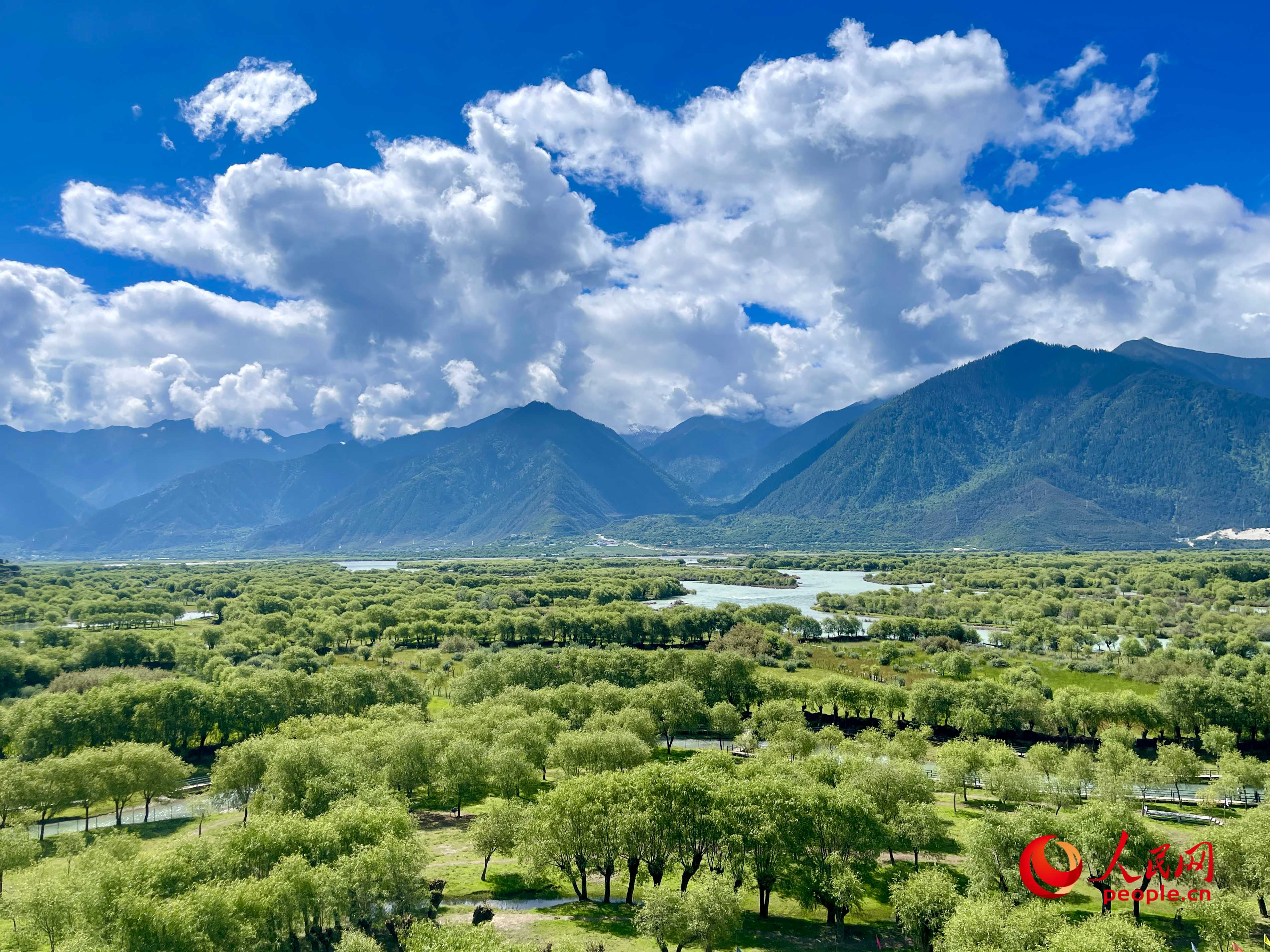 夏日的雅尼國家濕地公園生機(jī)盎然，如詩如畫。人民網(wǎng) 周靜圓攝