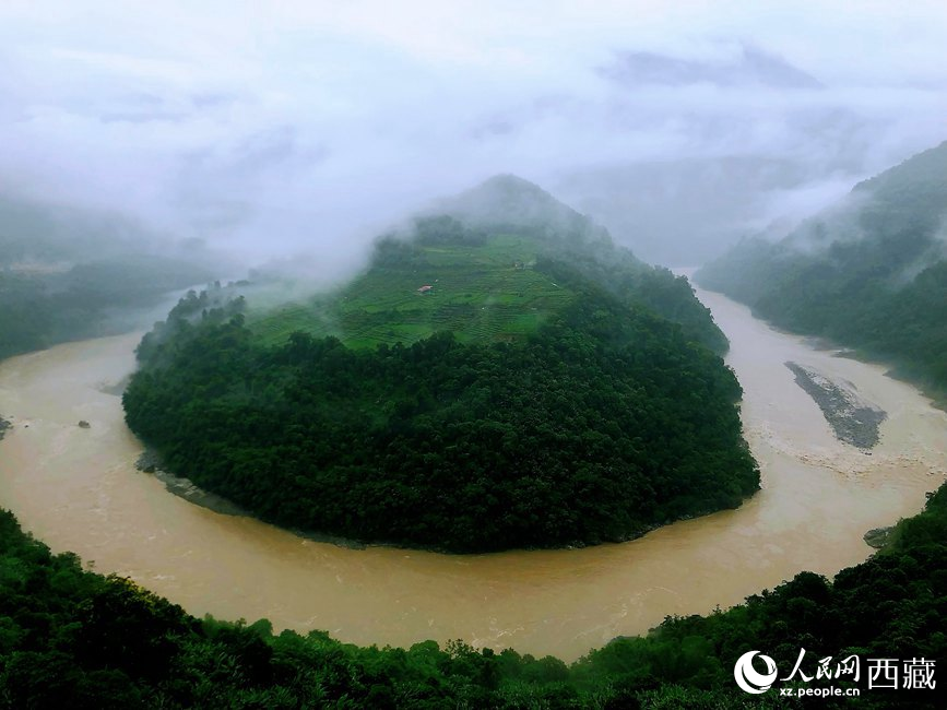 雅魯藏布江大峽谷蛇形拐彎處，山坡上種滿茶樹。