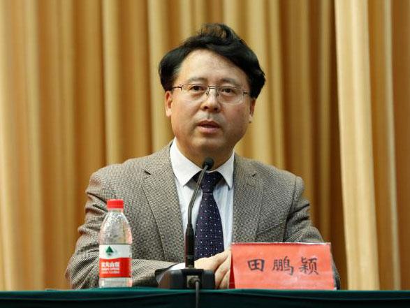 田鵬穎：投入其中、樂(lè)在其中、安身其中