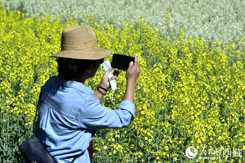 大片油菜花吸引游客到來(lái)。人民網(wǎng) 李海霞攝