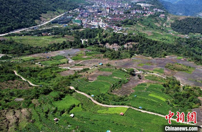 圖為西藏林芝市墨脫縣城附近的茶田。(無人機(jī)照片) 李林 攝